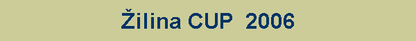 ilina CUP  2006