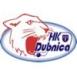 HC Dubnica nad Vhom